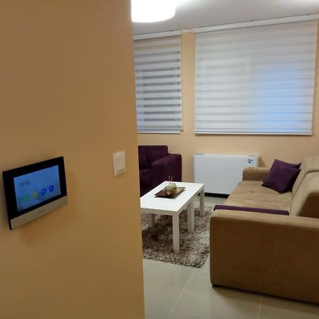 Apartment Cherry Gold Zrenjanin Exteriör bild